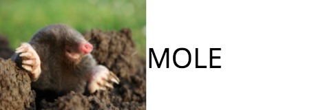 mole catcher, mole control hp9, beaconsfield, pest control bucks